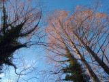 IMG-20250901-WA0005.jpg
